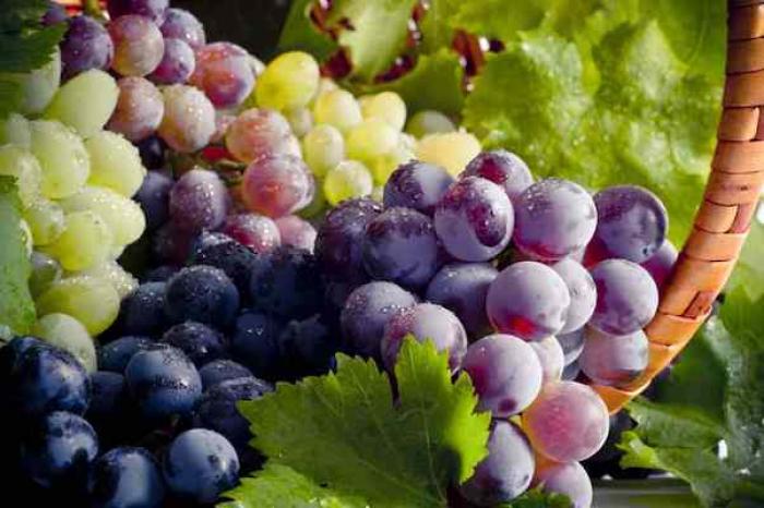 Uvas verdes o moradas, ¿cuáles son las diferencias para la salud?