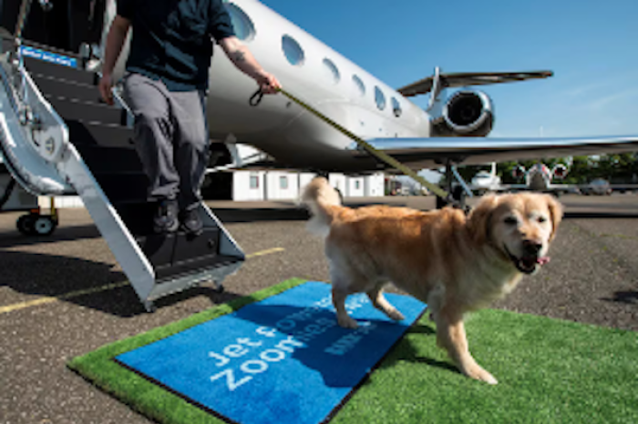 Bark Air: La primera aerolínea exclusiva para perros comienza a operar