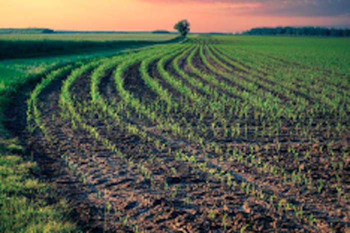 La agroecología fortalece la agricultura en 