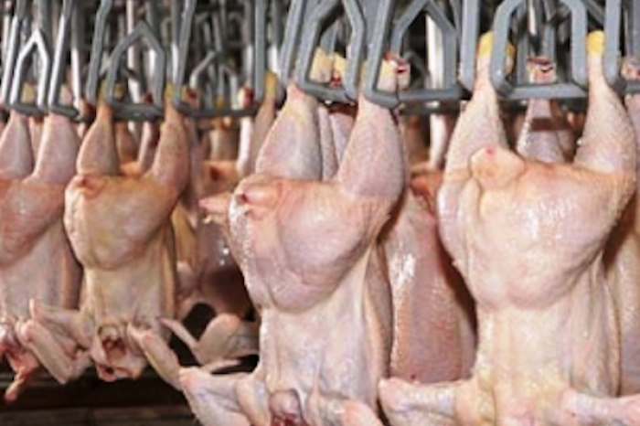 México reactiva importaciones de carne aviar