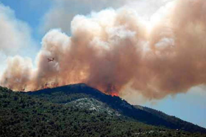  Estrategias integradas para prevenir incendios forestales