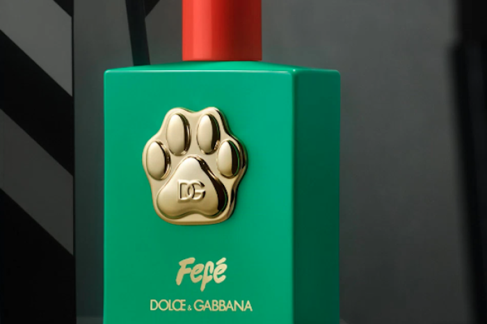 Dolce & Gabbana lanza perfume exclusivo para perros: ¿Lujo o Exceso?