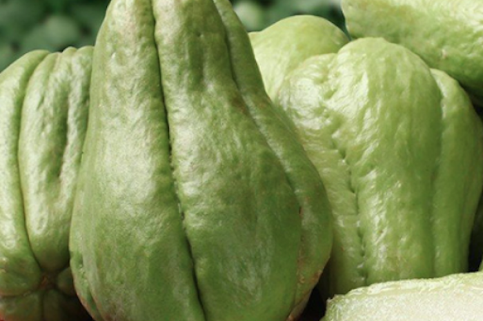 El chayote, la hortaliza mexicana que cura y 