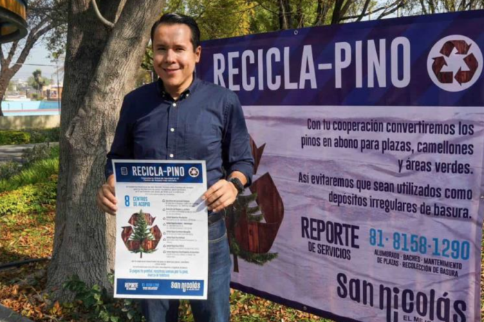 San Nicolás instalará centros de acopio de pinos navideños