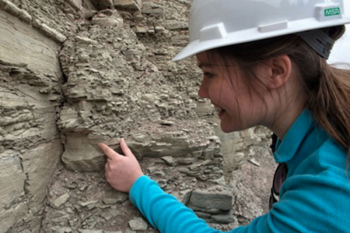 Geología en México: Una ciencia esencial con desafíos contemporáneos