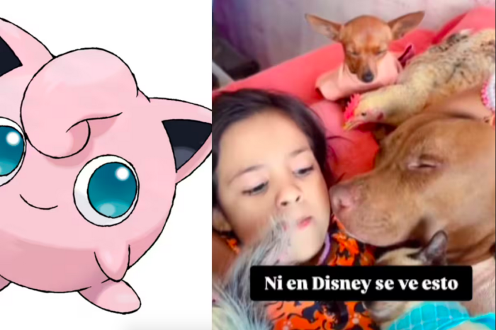 “Es la Jigglypuff de la vida real”: Niña causa sensación por arrullar a animales con su voz