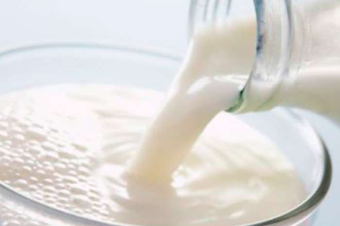 Leche en la edad adulta: ¿Aliada o enemiga de la salud?