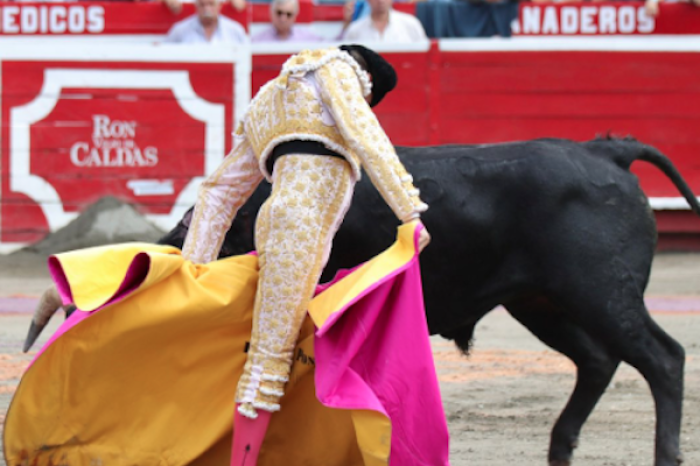 CDMX aprueba corridas de toros sin sangre en 